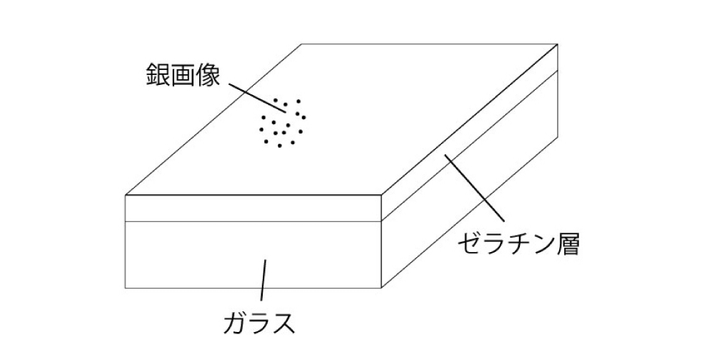 ガラス乾板について解説！保存はスキャニングがおすすめ